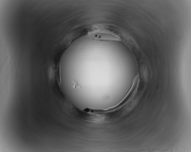 X0000099460328200805090752