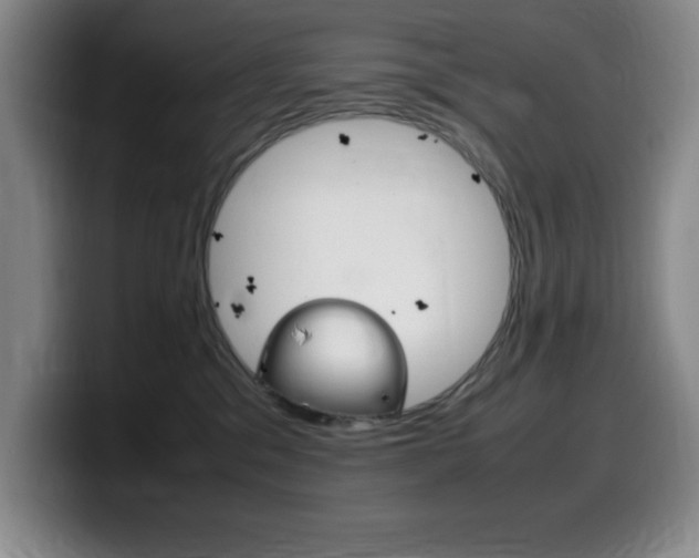 X0000099460329200805090752