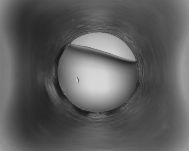 X0000099460331200805090752