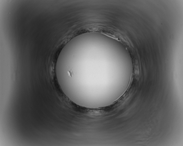 X0000099460332200805090752