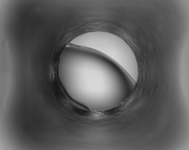 X0000099460333200805090752