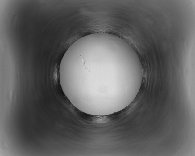 X0000099460334200805090752
