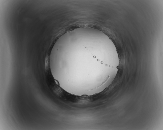 X0000099460335200805090752