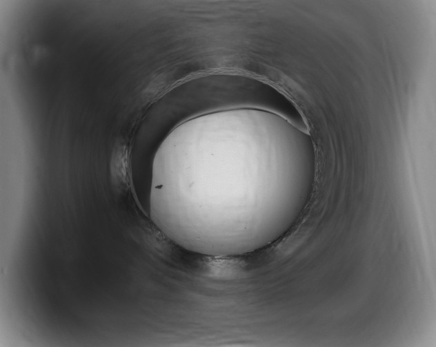 X0000099460336200805090752