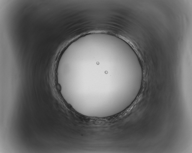 X0000099460337200805090752
