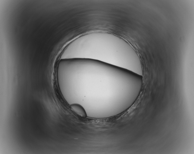 X0000099460338200805090752