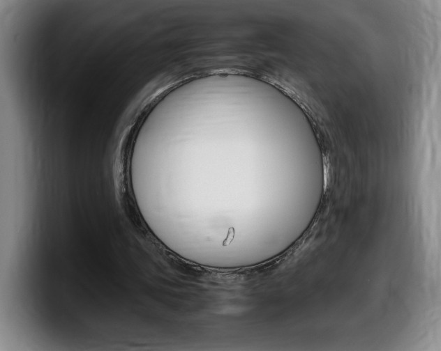 X0000099460339200805090752