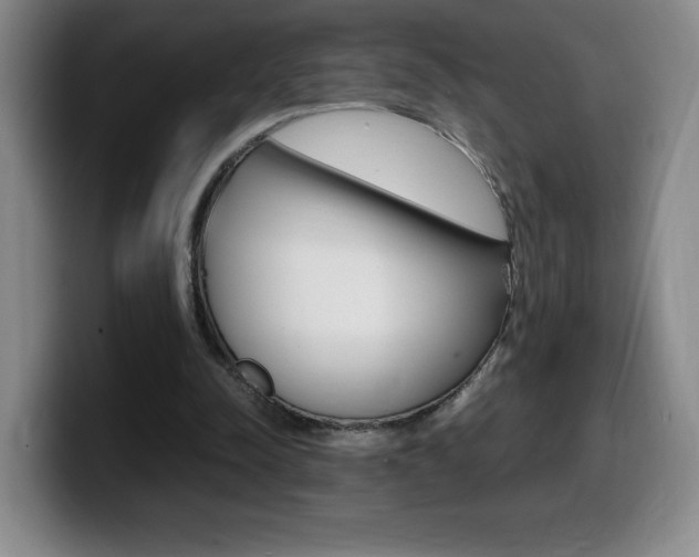 X0000099460342200805090752