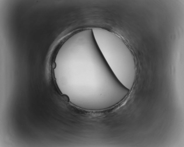 X0000099460343200805090752