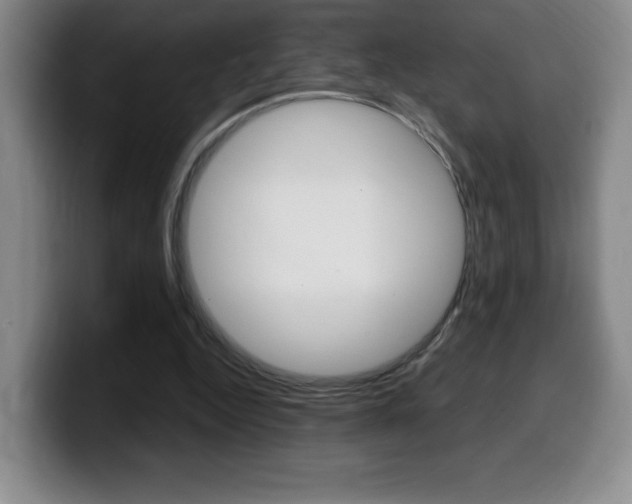 X0000099460344200805090752