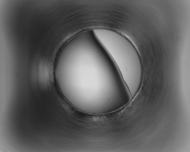 X0000099460345200805090752