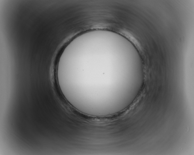 X0000099460346200805090752