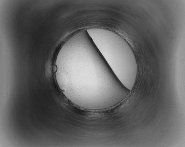X0000099460347200805090752