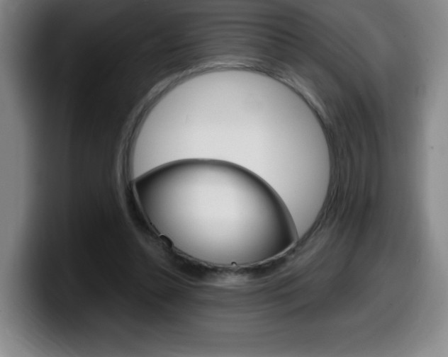 X0000099460348200805090752