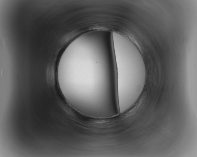 X0000099460349200805090752