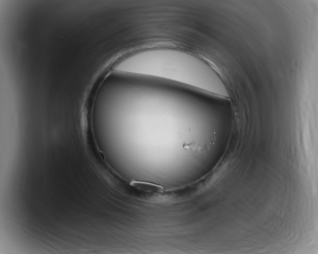 X0000099460350200805090752