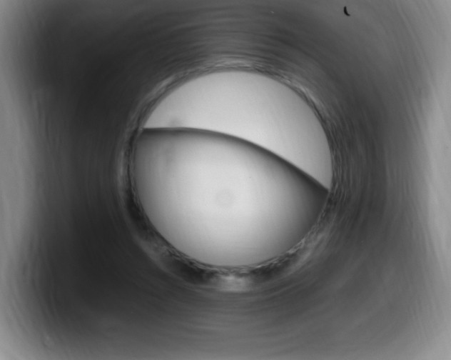 X0000099460352200805090752