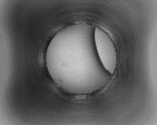 X0000099460353200805090752