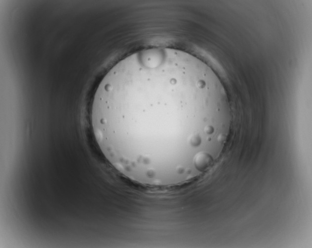 X0000099460354200805090752