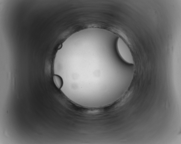 X0000099460357200805090752