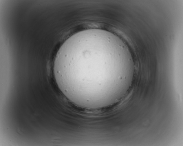 X0000099460359200805090752
