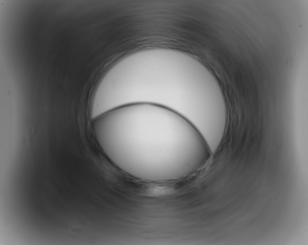 X0000099460360200805090752