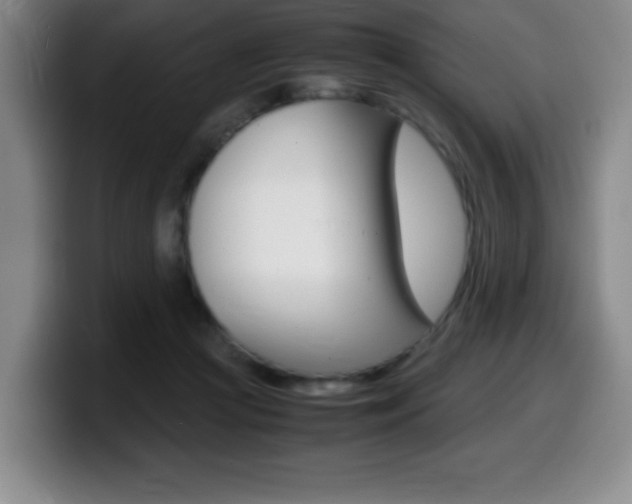 X0000099460361200805090752