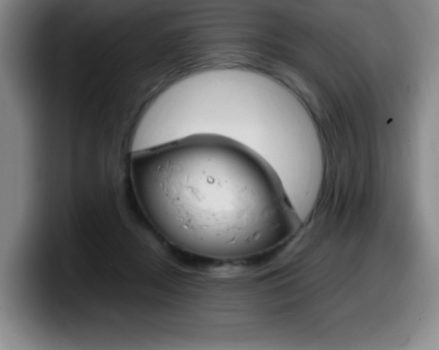 X0000099460362200805090752