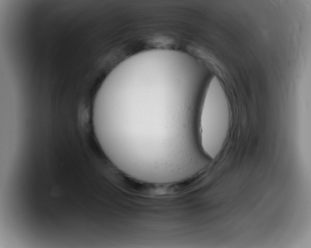 X0000099460365200805090752