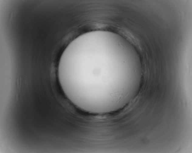 X0000099460366200805090752