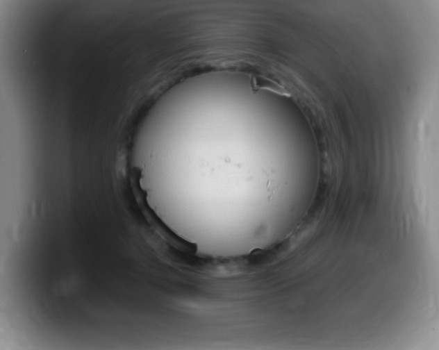 X0000099460368200805090752