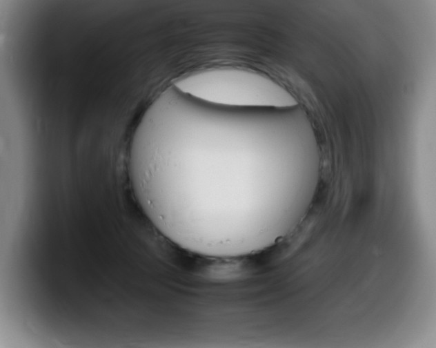 X0000099460369200805090752