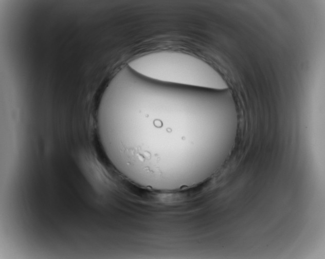 X0000099460371200805090752