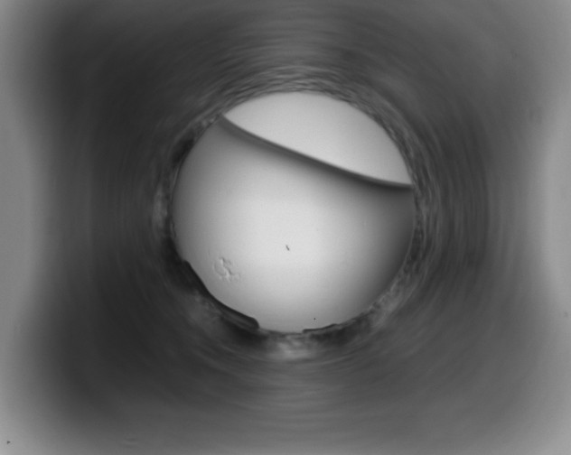 X0000099460372200805090752