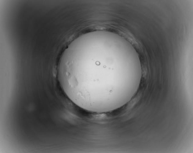 X0000099460374200805090752