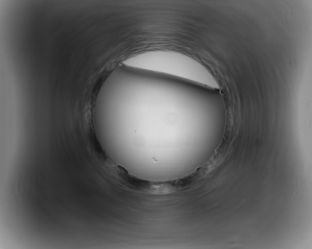 X0000099460376200805090752