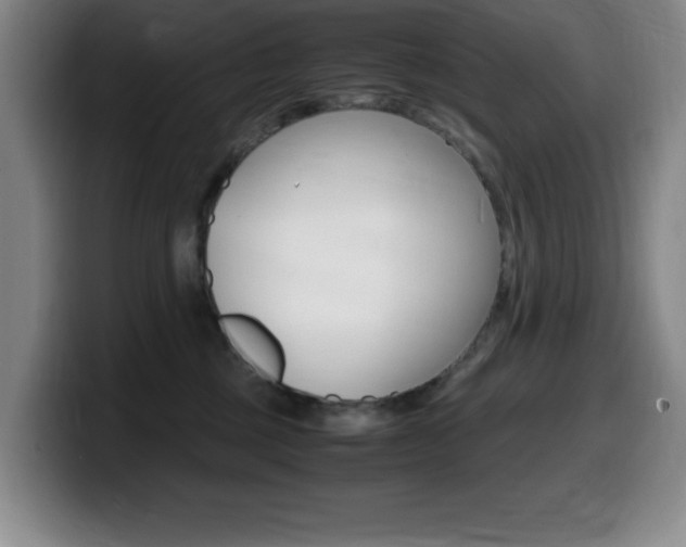 X0000099460377200805090752