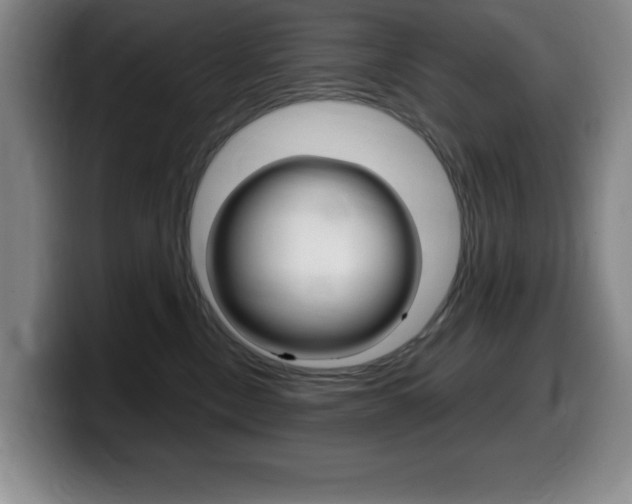 X0000099460378200805090752