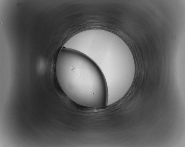 X0000099460379200805090752