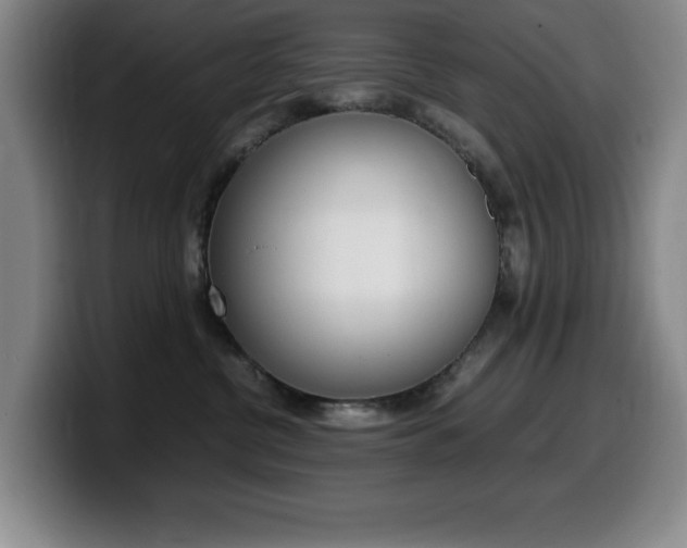 X0000099460380200805090752