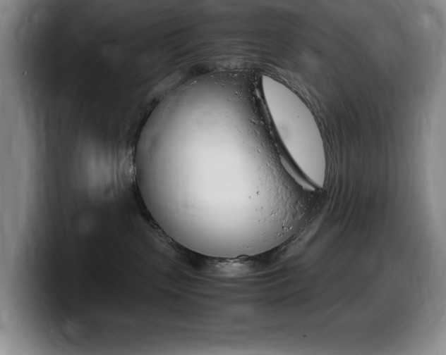 X0000099460383200805090752