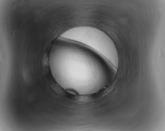 X0000099460384200805090752