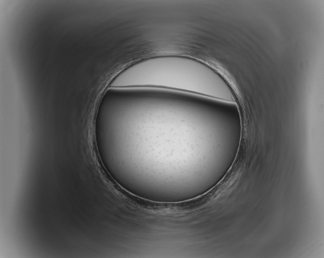 X0000099460385200805090751