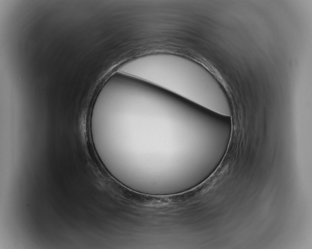 X0000099460386200805090751