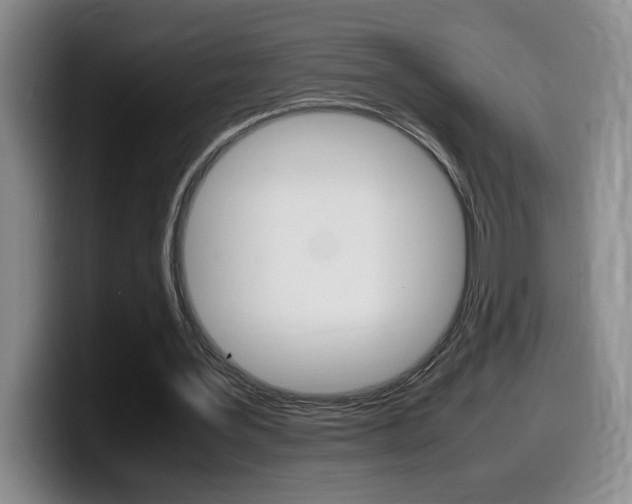 X0000099460387200805090751
