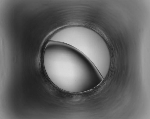 X0000099460388200805090751