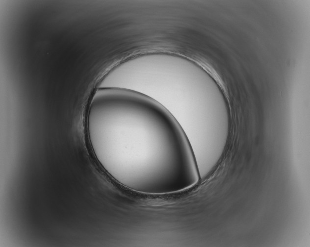 X0000099460389200805090751