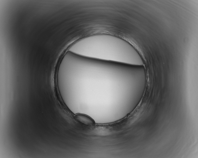 X0000099460390200805090751