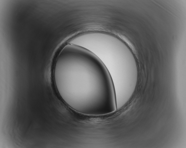 X0000099460391200805090751