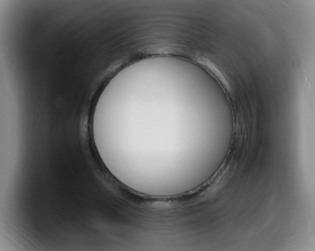 X0000099460394200805090751